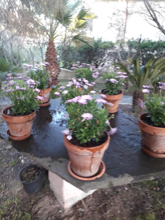 B&B Nuraghes Olbia Zewnętrze zdjęcie